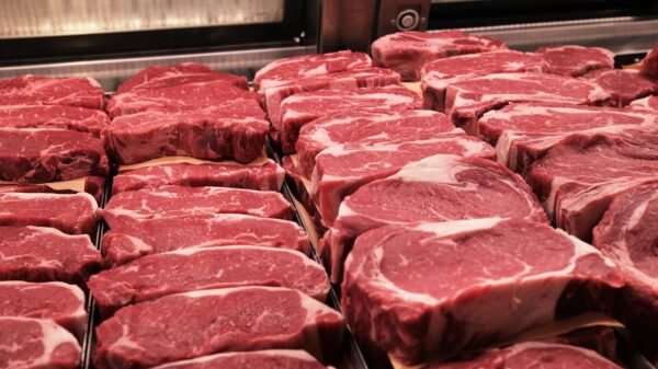 Discover the Secret Behind Texas Roadhouse’s Irresistible Steaks!