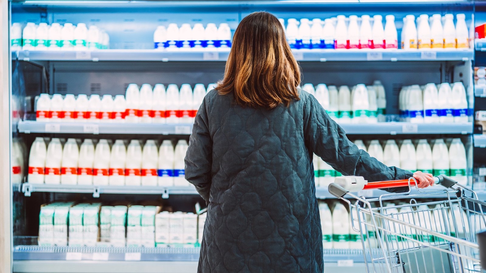 Discover the Top and Worst Grocery Chains for Picking the Perfect Milk!